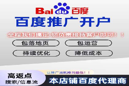 专业竞价SEM托管成功案例解析
